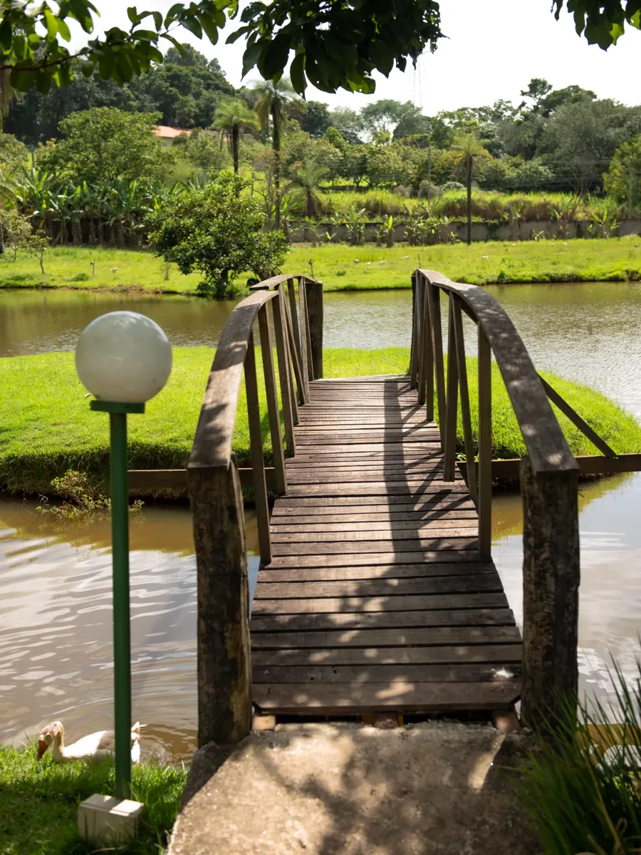 Lagoa